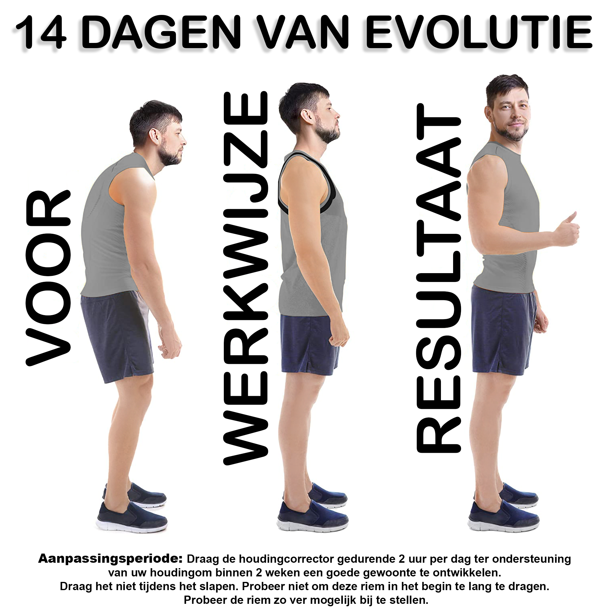 Back Brace - Support - Men and Women - DOUBLE