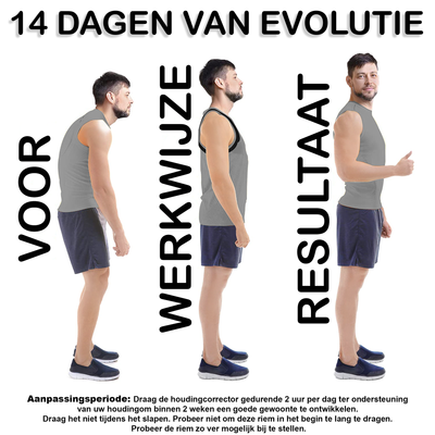 Back Brace - Support - Men and Women - DOUBLE